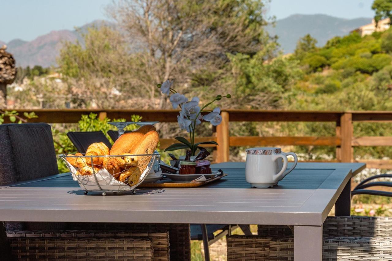 Hotel Hibiscus Propriano  Kültér fotó