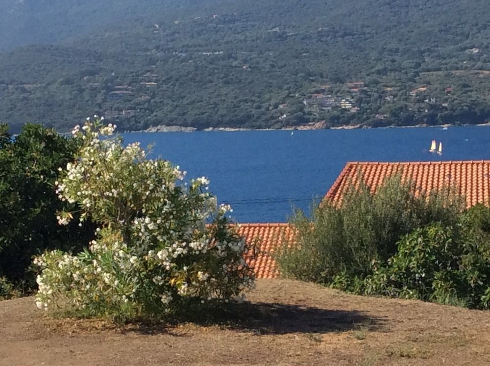 Hotel Hibiscus Propriano  Kültér fotó